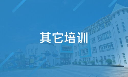 上海質遠信息技術服務與淘學培訓深度解析 靠譜嗎？